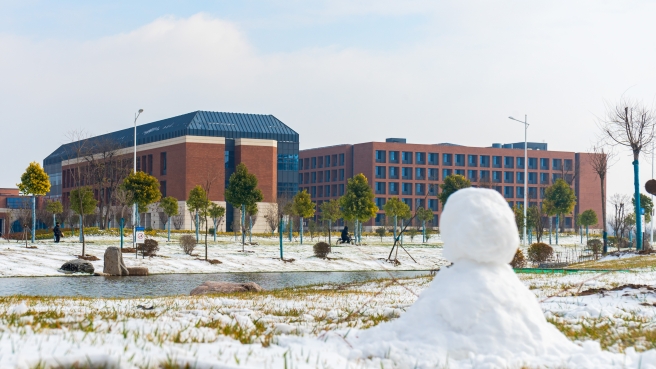 皑皑冬雪