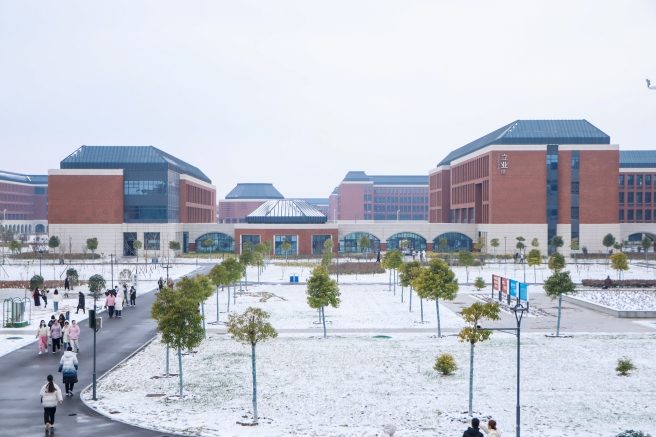皑皑冬雪